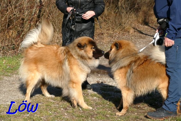 12.2.2022 - Shiva und Barki
